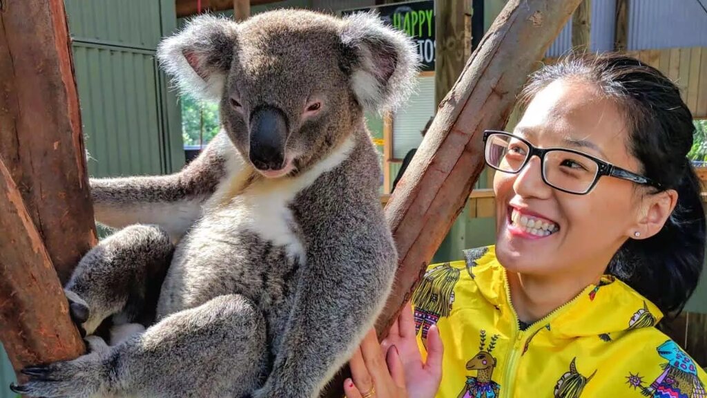 Full Day Wildlife, Waterfalls and Wine