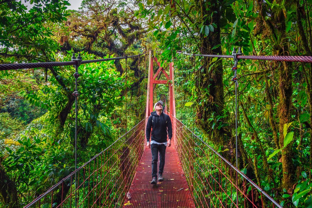 Climb into the canopy of the Monteverde Cloud Forest