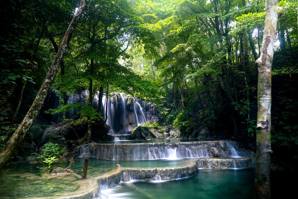 Forest Trail to Mata Jitu Waterfall