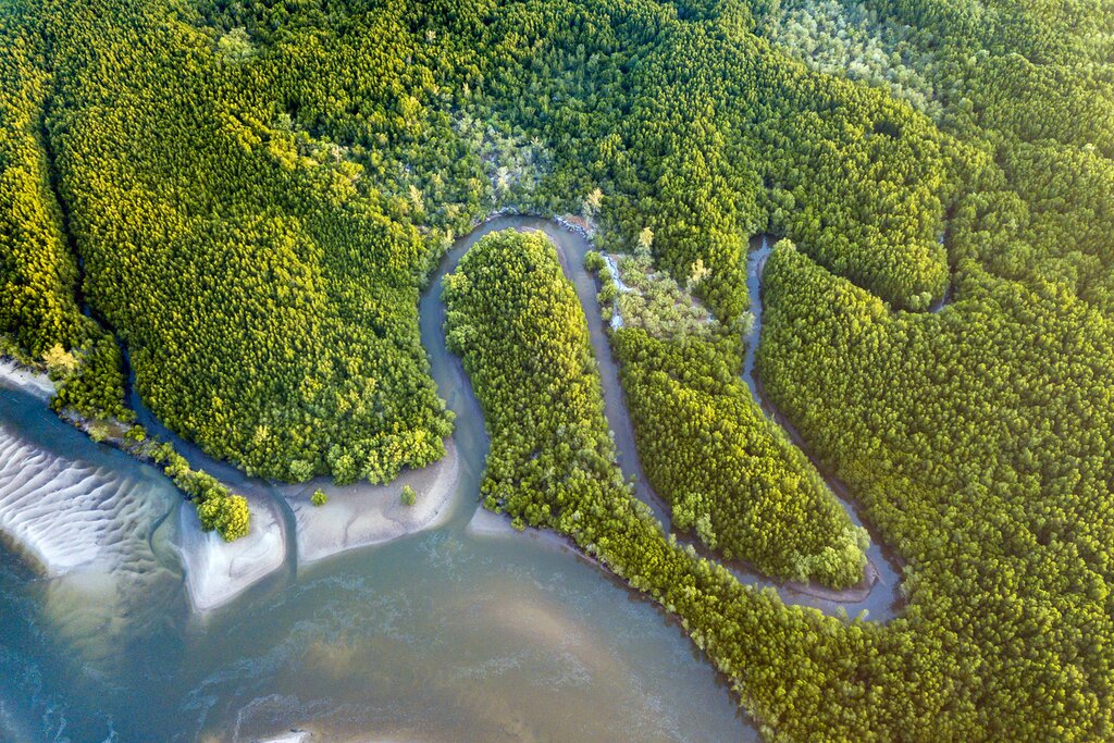 Transfer from Jakarta (CGK) to Borneo (PKN)