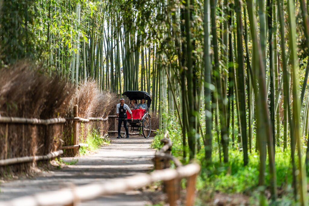 Arashiyama Rickshaw Tour & Bamboo Forest with Monkey Park and Tenryuji temple