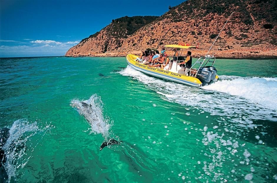 Kangaroo Island Marine Adventures