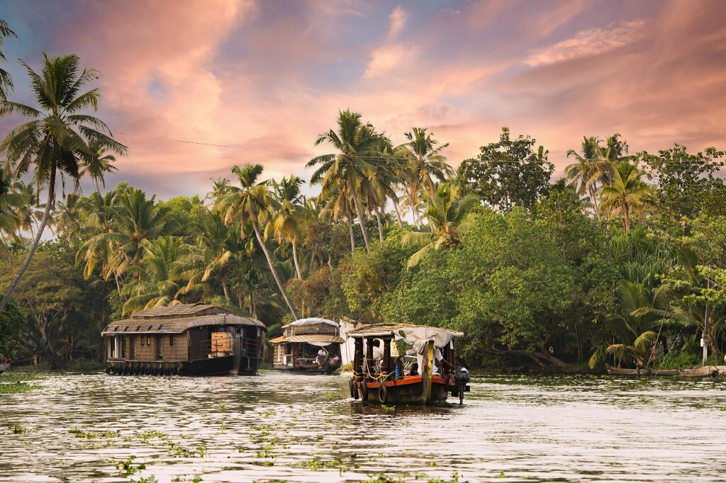 Cruise Aleppey's backwaters