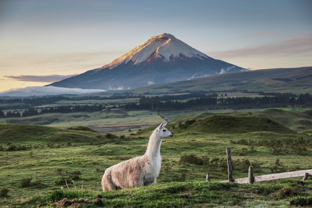 Cotopaxi's perfectly shaped cone