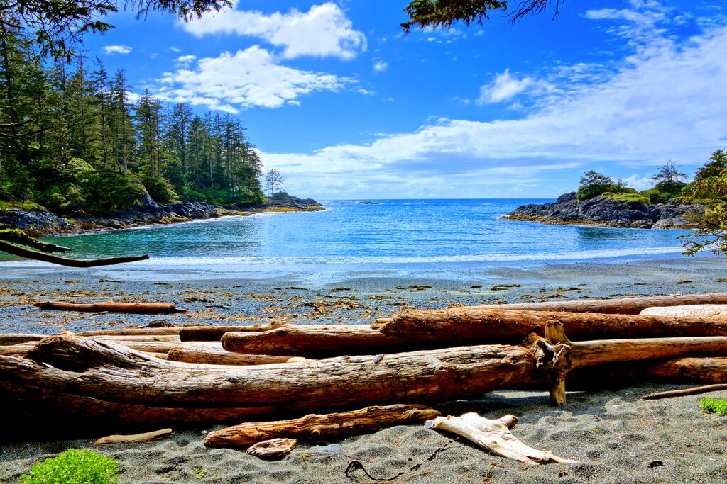 Vancouver Island's beaches are perfect for a summer break