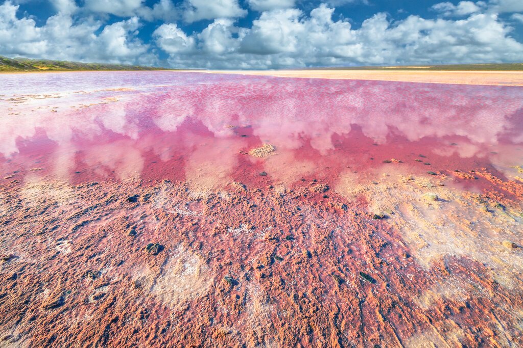 An aerial view of Pink Lake
