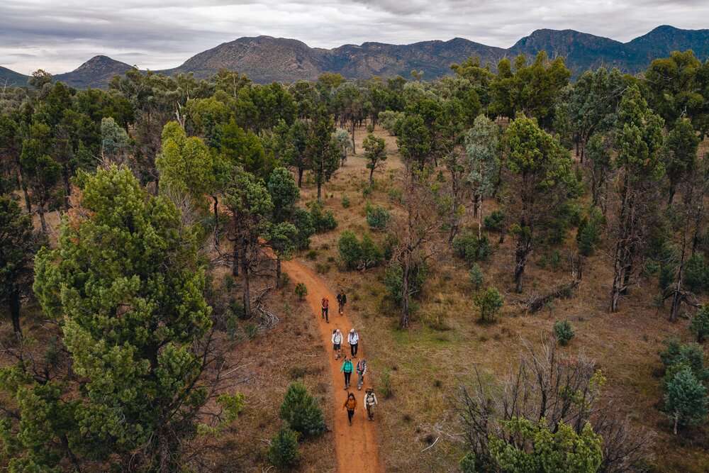 Arkaba Walks (Day 2): To Elder Camp we go