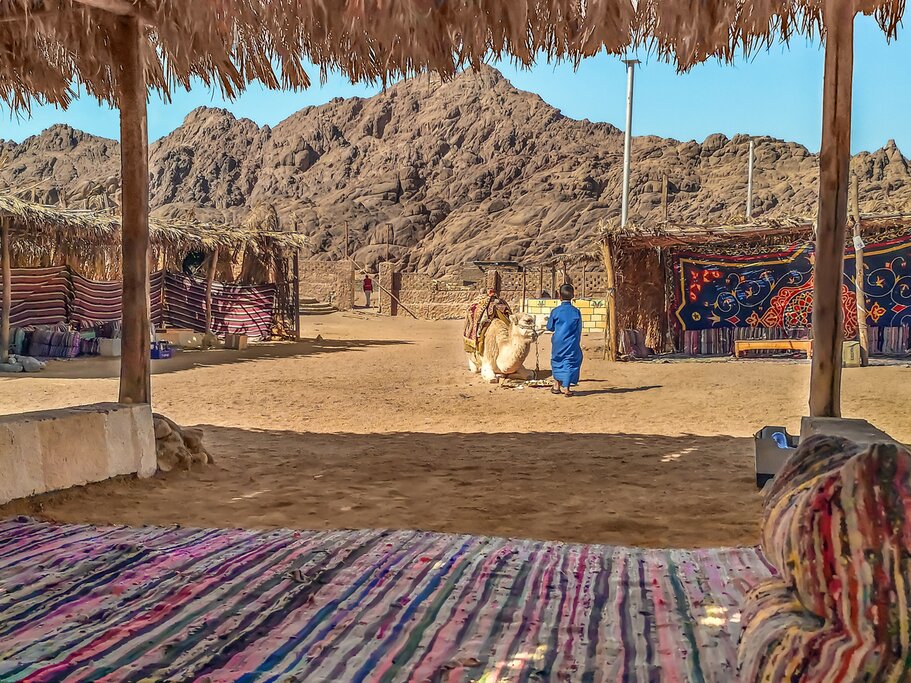 Bedouin Safari and Star Gazing Tour