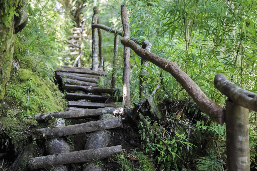 Spend three days hiking in Pumalín, the largest private nature reserve in the world