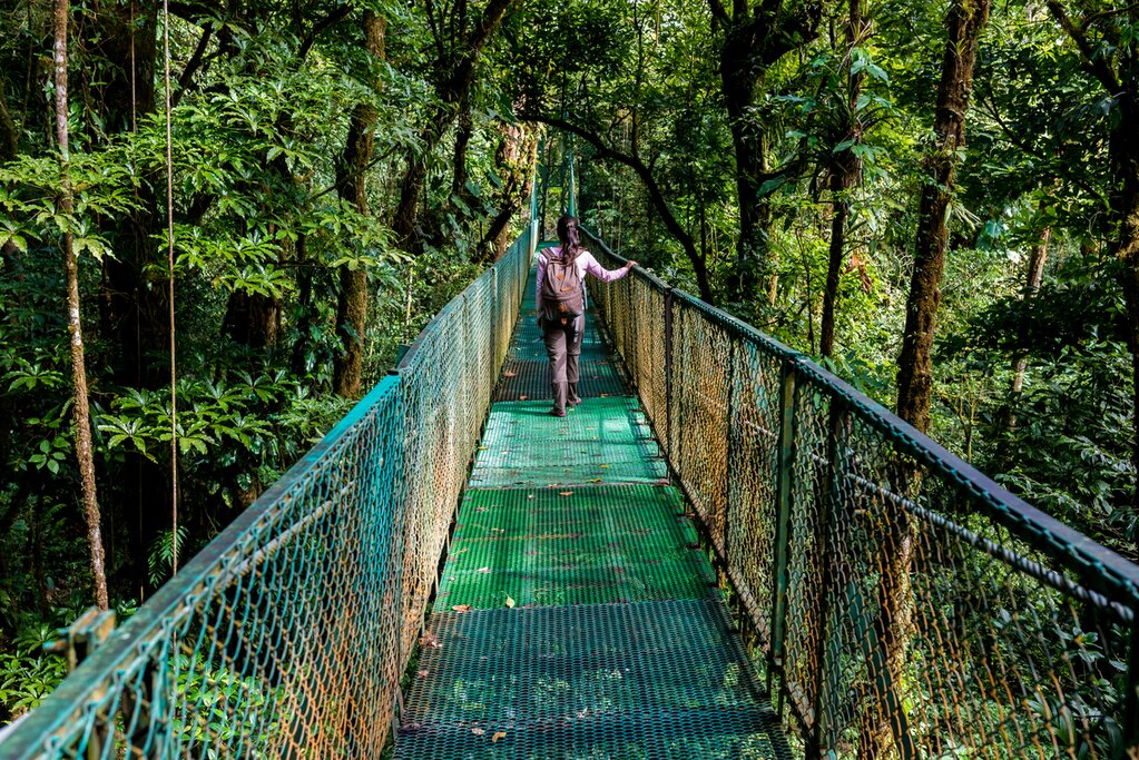 A suspension bridge in Monteverde's Cloud Forest