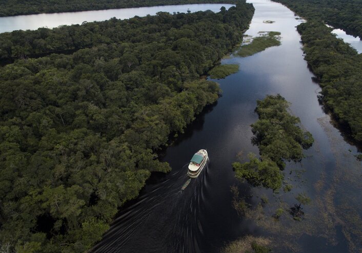 The Amazon River