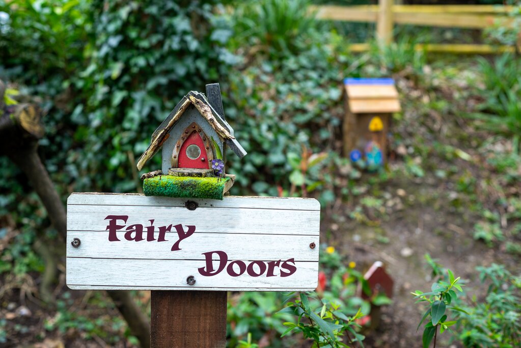 Fairy Trail