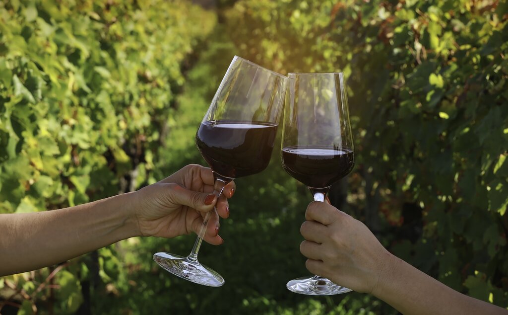 Private Tour in the Medoc Wine Region