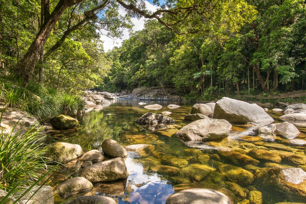 Mossman Gorge