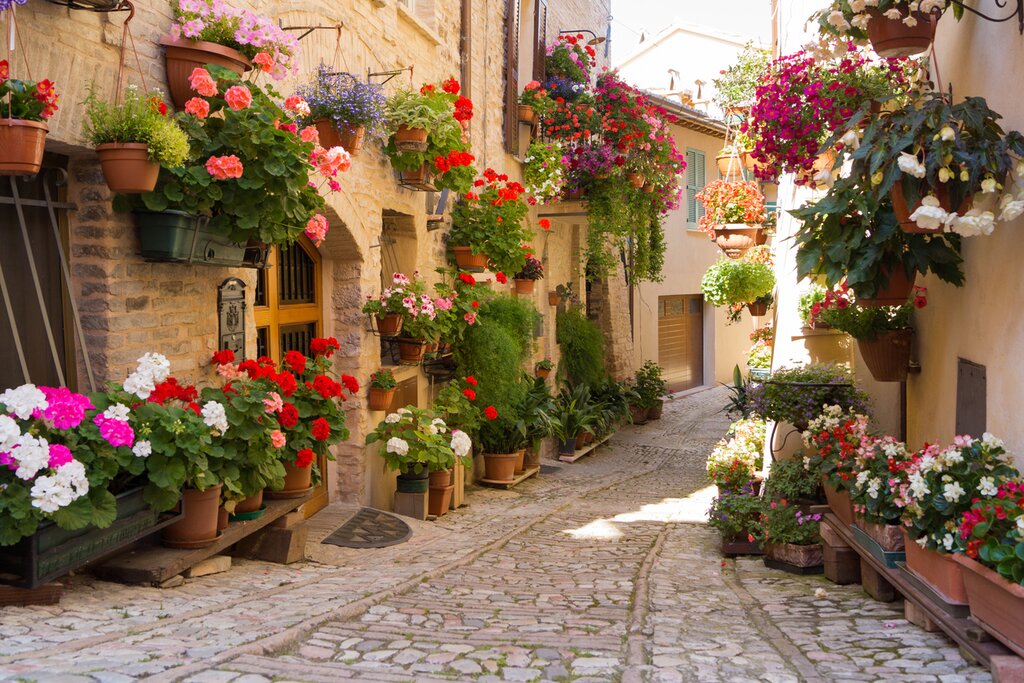 Day Trip to Gubbio and Spello