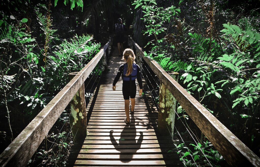 Tour the cities and jungles of Brazil with your family