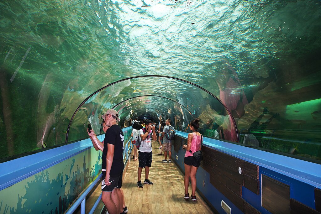 SEALIFE Sydney