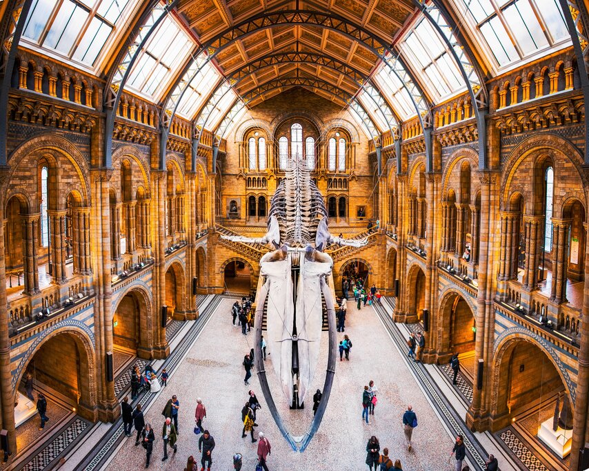 Natural History Museum London