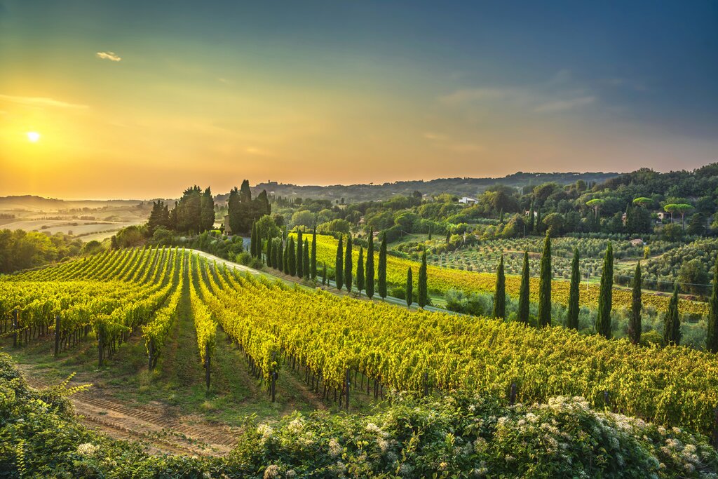See the beautiful Tuscan countryside on your 10-day road trip through Italy