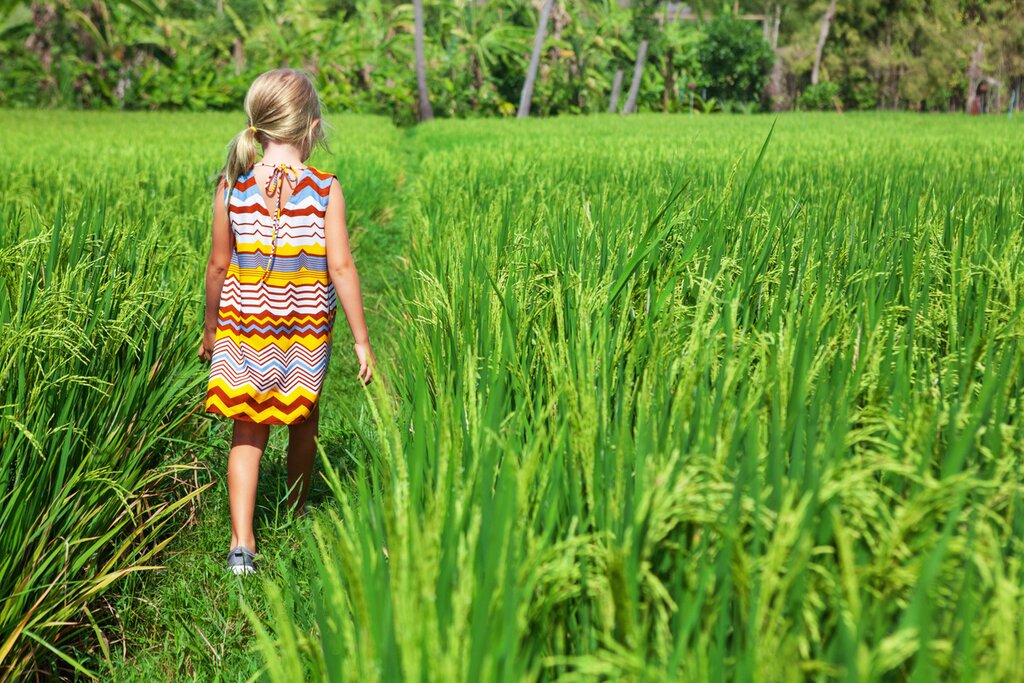Balinese Daily Life
