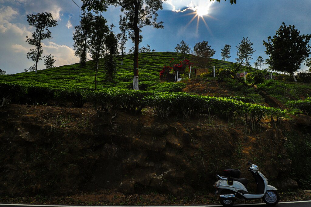 Tour of Wayanad