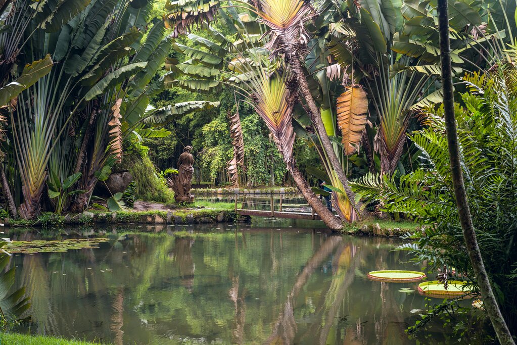 End your trip with a visit to Rio de Janeiro's Botanical Garden