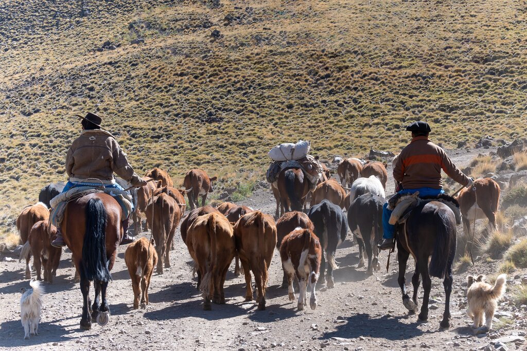 Half day Ranch day at Nibepo Aike Estancia