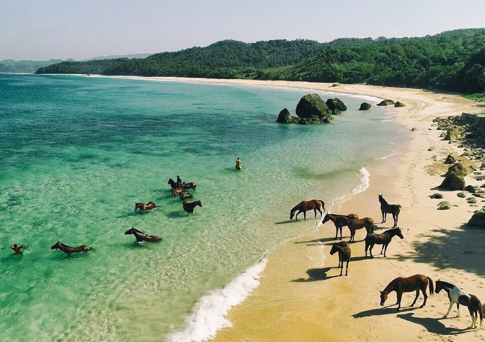 Meet the horses of Sumba on this two-week journey across three Indonesian islands (photo courtesy of NIHI Sumba)