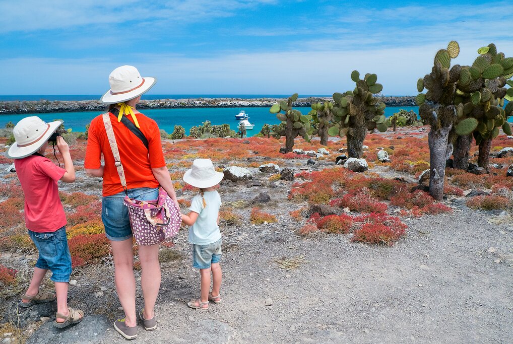 Spend a morning on Isla Plaza Sur, known for its carpet of opuntia cacti