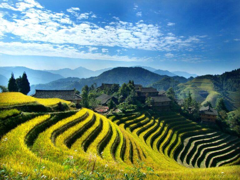 Authentic China: Beijing, Xi'an, Guilin, Yangshuo & Shanghai - 11 Days