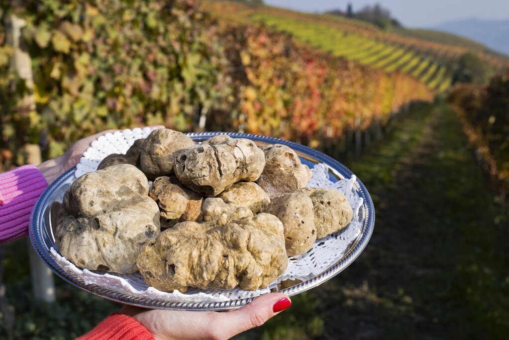 Truffles