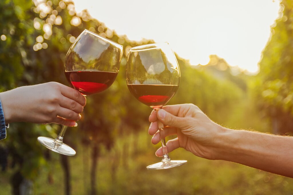 Toast to your future while sampling local wines in Hunter Valley