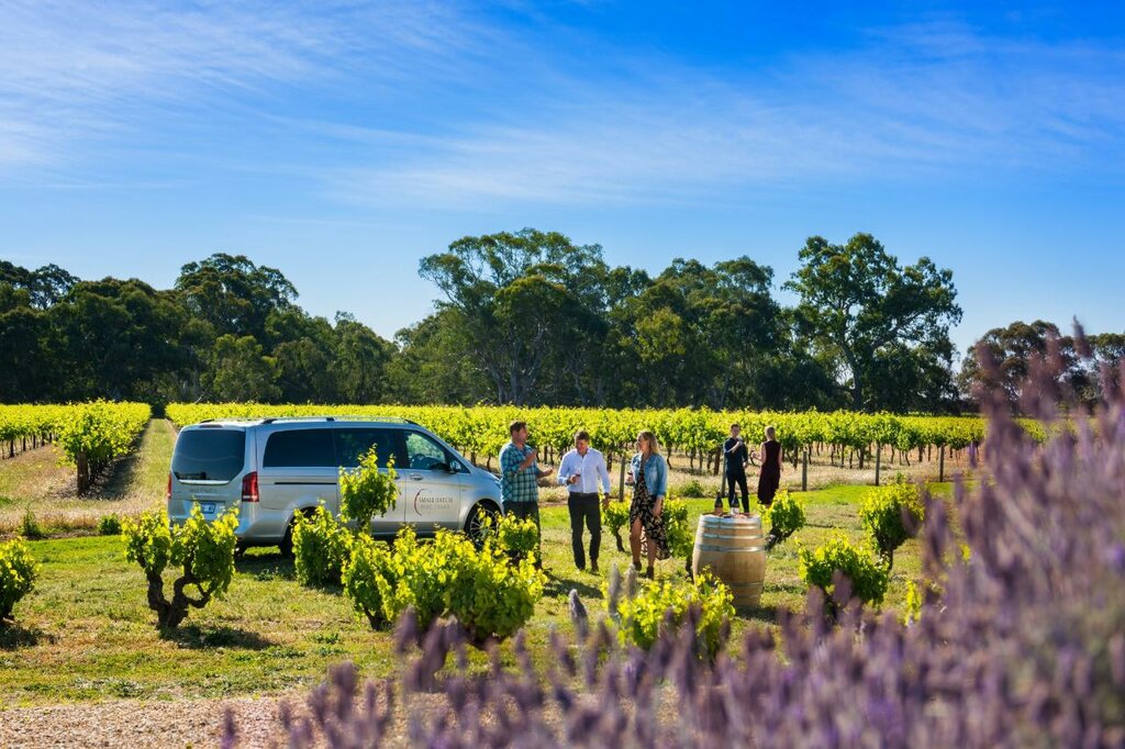 Uncork the Barossa