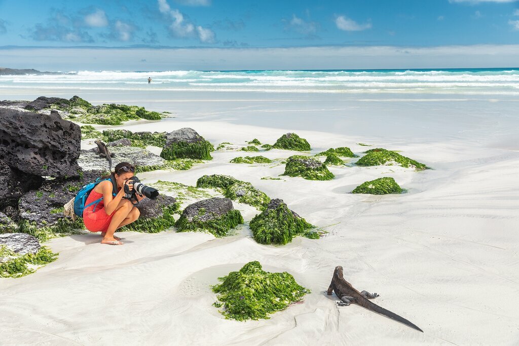 Meet wildlife on eight islands in less than a week