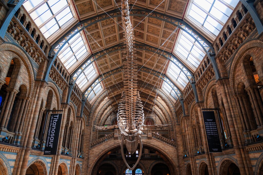 Natural History Museum Private Tour for Kids & Families