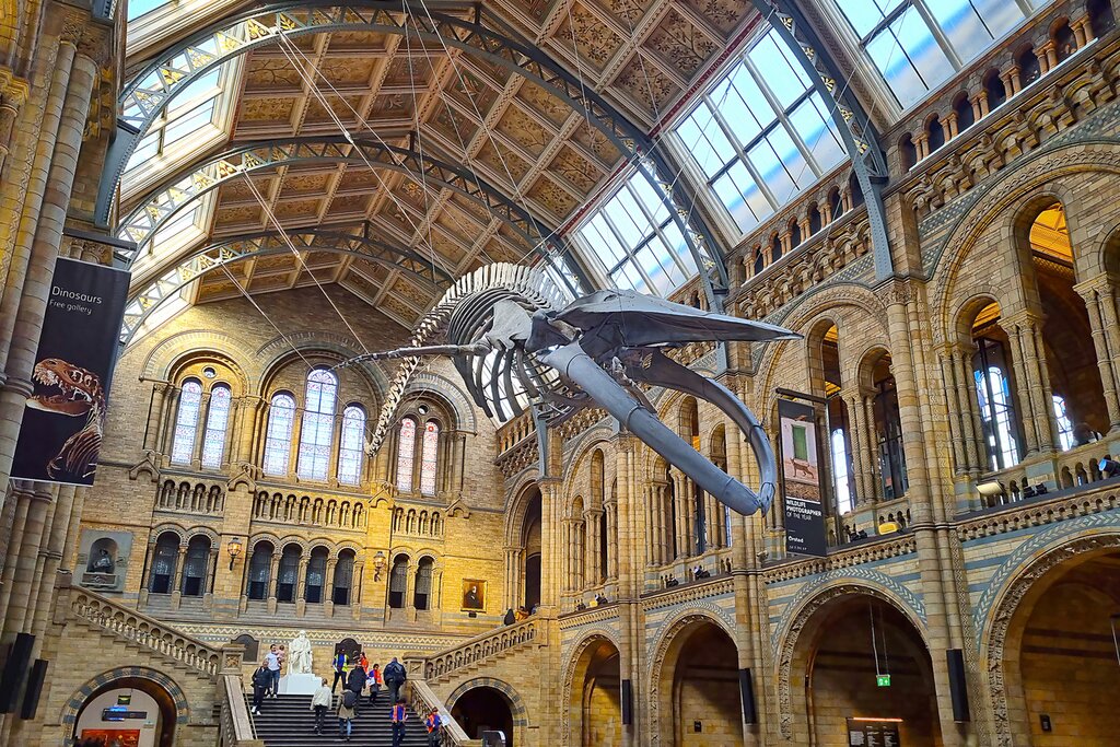 Natural History Museum London