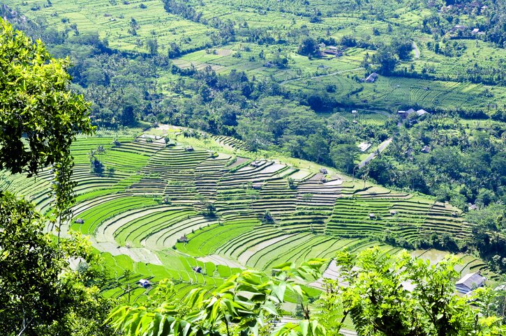 Go for a leisurely hike through the countryside around Sidemen
