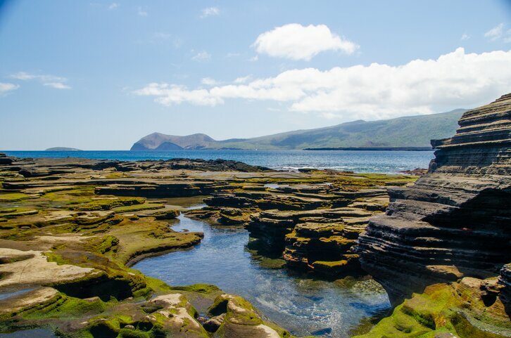 Volcanic coastline in the Galapagos Islands