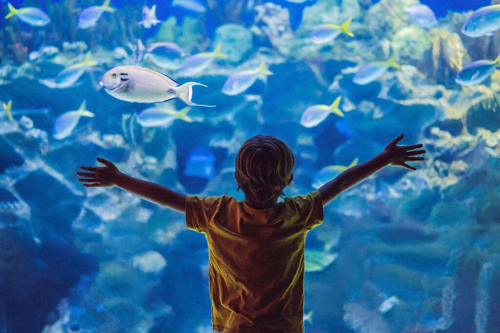 Family Marine Adventure: AquaRio