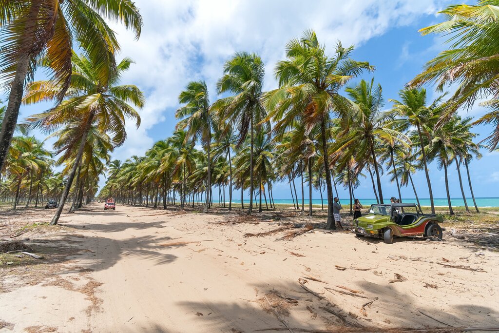 Maracaipe beach, Porto de Galinhas, Brazil