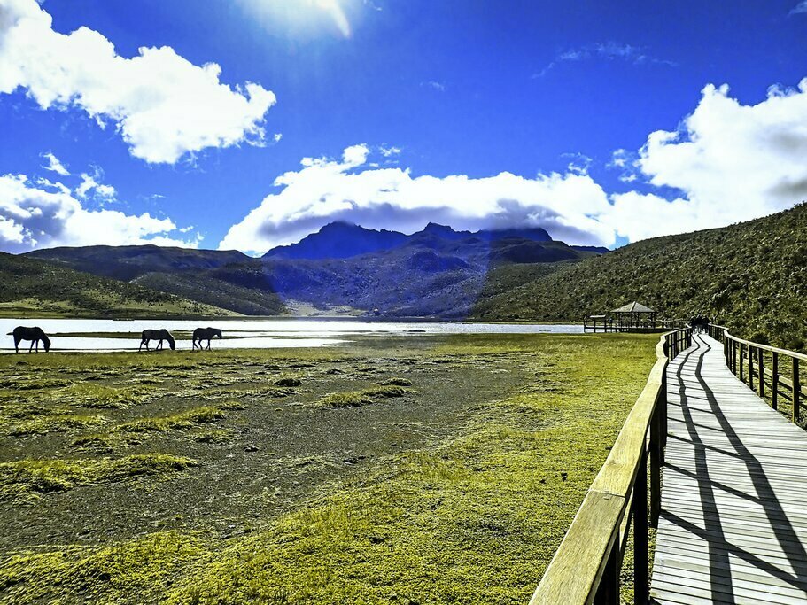 Feel the freedom of the open road as you navigate through Ecuador