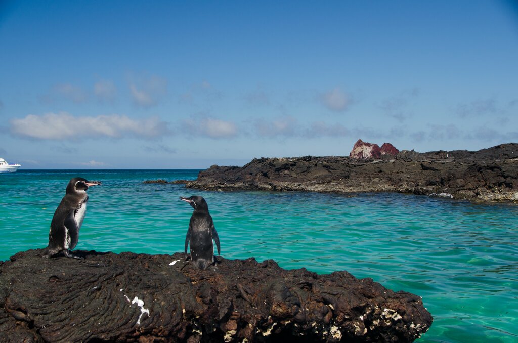 Galápagos