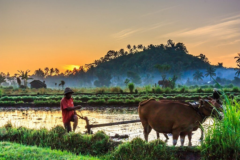 Bali