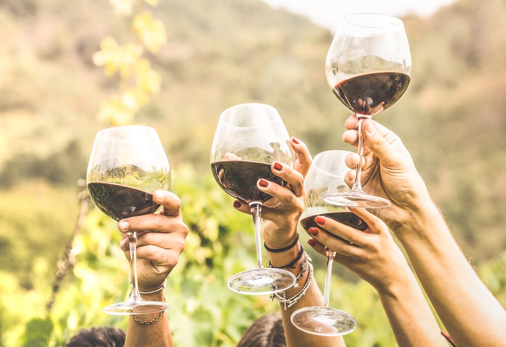 Go wine tasting in the home of malbec in Mendoza, Argentina