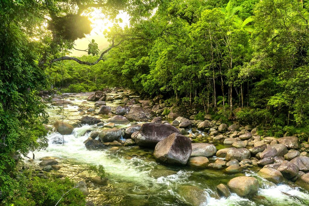 Mossman Gorge