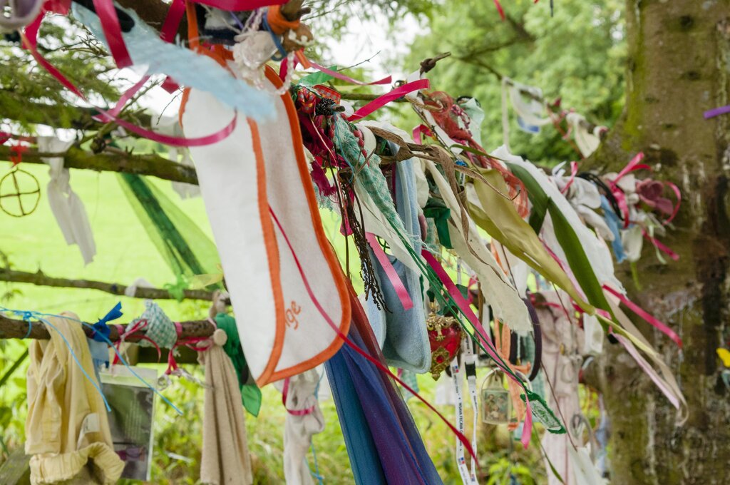 Rag tree at St. Brigid's Well