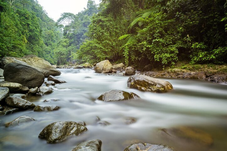 Bohorok River