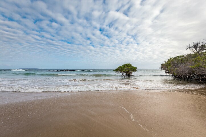 Relax on the beaches of the Galápagos Islands