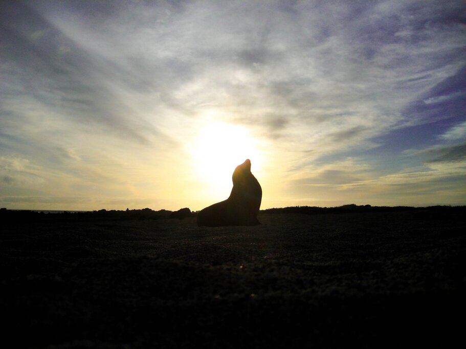 Bid the Galapagos farewell