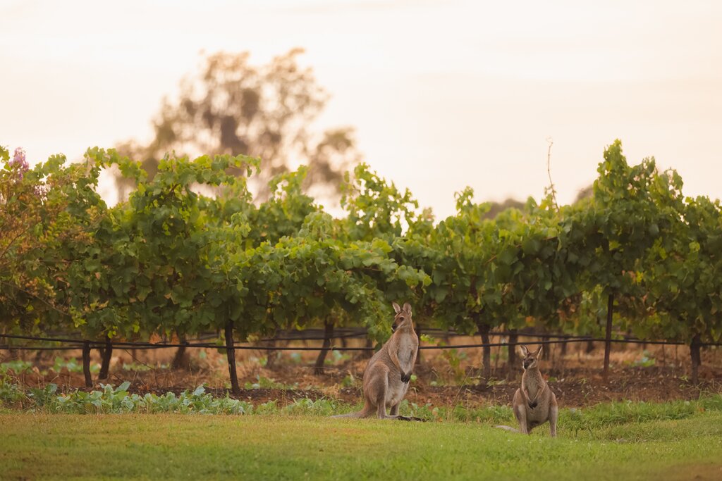 Hunter Valley